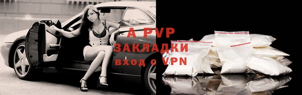 сатива Алексин