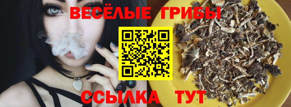Галлюциногенные грибы мухоморы Красноармейск